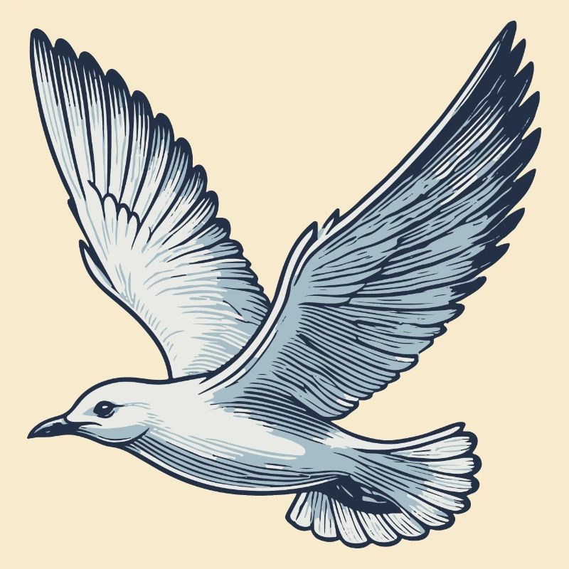 Möwe