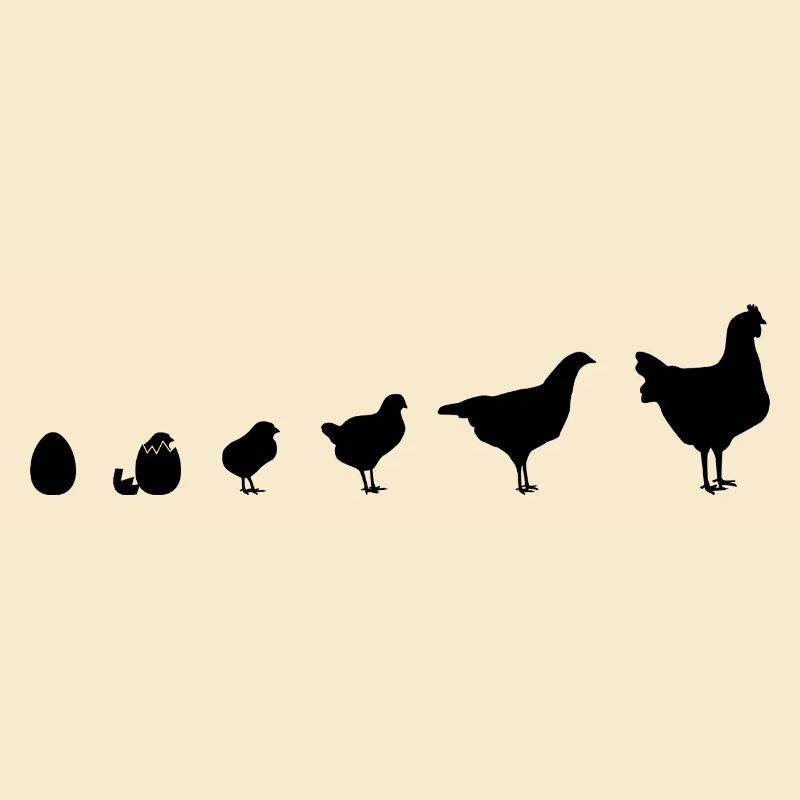 Instantané Famille de poussins, Poulet, Évolution,