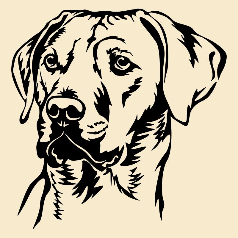 Rhodesian Ridgeback head