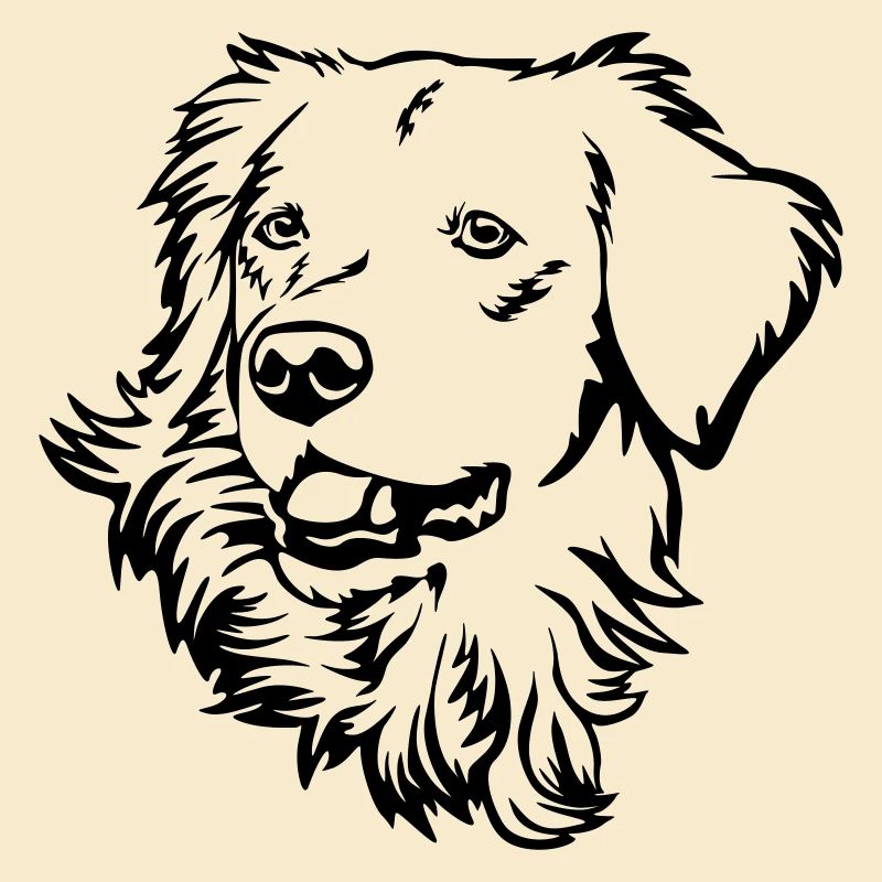 Golden Retriever Kopf