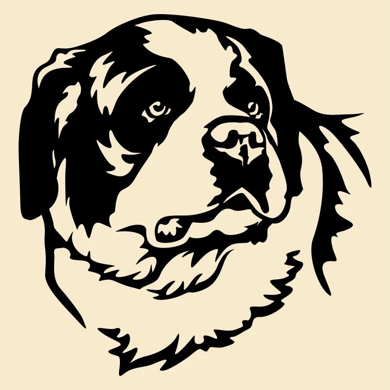St. Bernard's Head