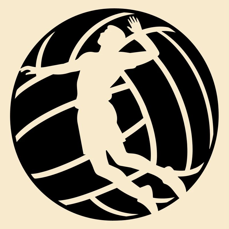 Volley-ball