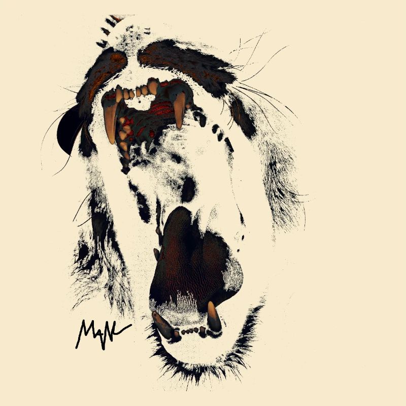 lion