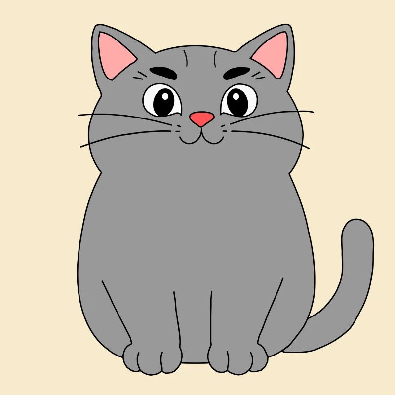 Chat gris