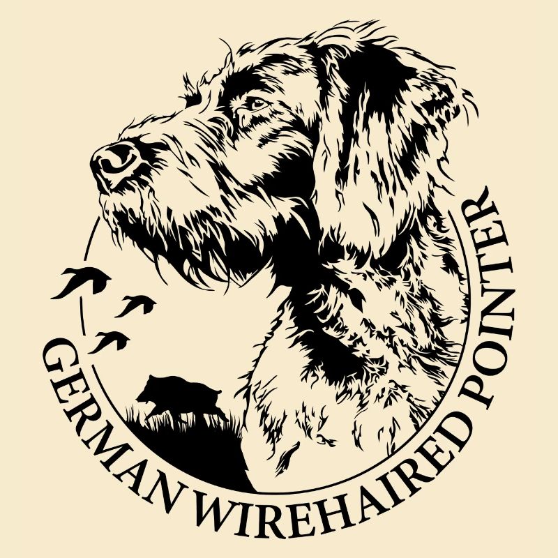 GERMAN WIREHAIRED POINTER Wilsigns Jagdhunde Hund