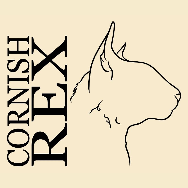 Cornish Rex Profil Chat Cat Wilsigns