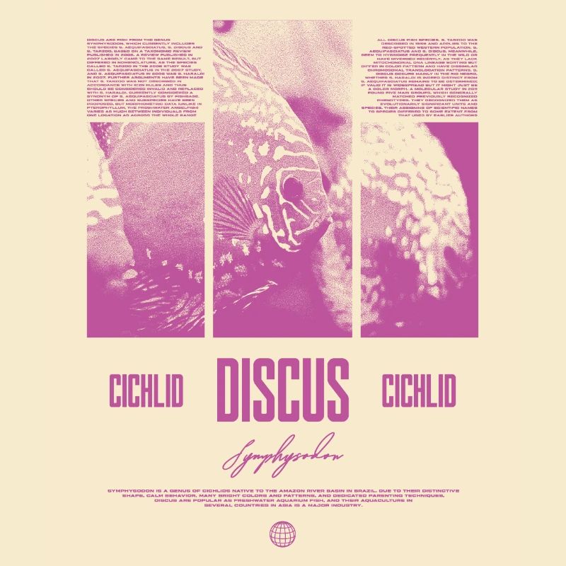 Discus Cichlidé Aquarium Fish Keeper