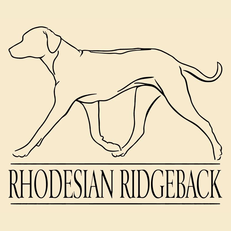 RHODESIAN RIDGEBACK chien Wilsigns
