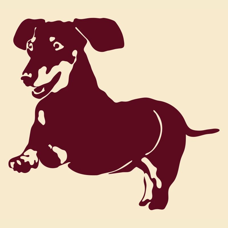 Dachshund
