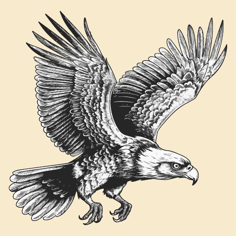 Aigle volant