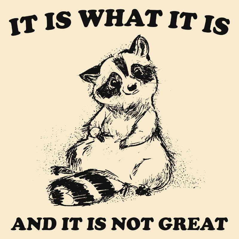 it is what it is and it is not great meme quote