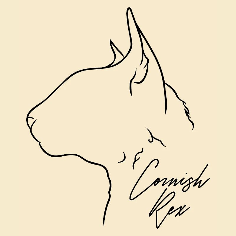 Cornish Rex Profil Chat Cat Wilsigns