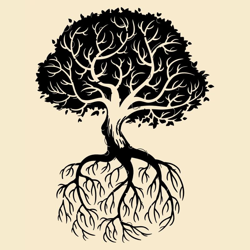 Roots