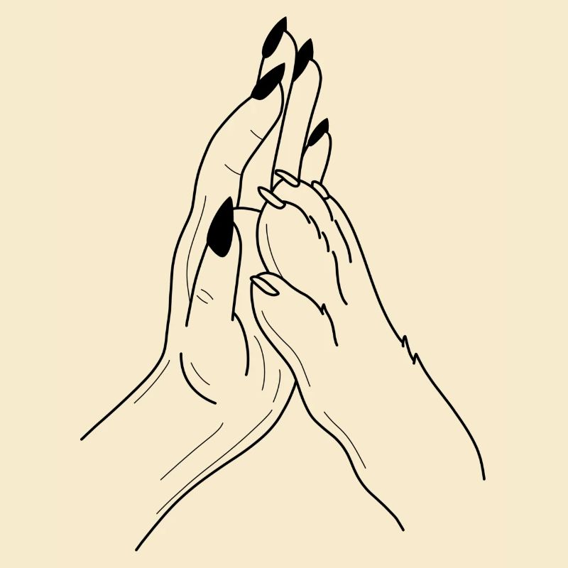 Patte à main Highfive