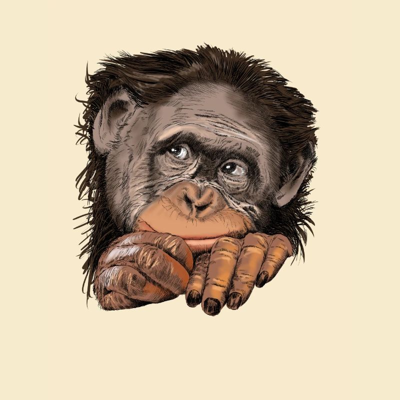 Monkey