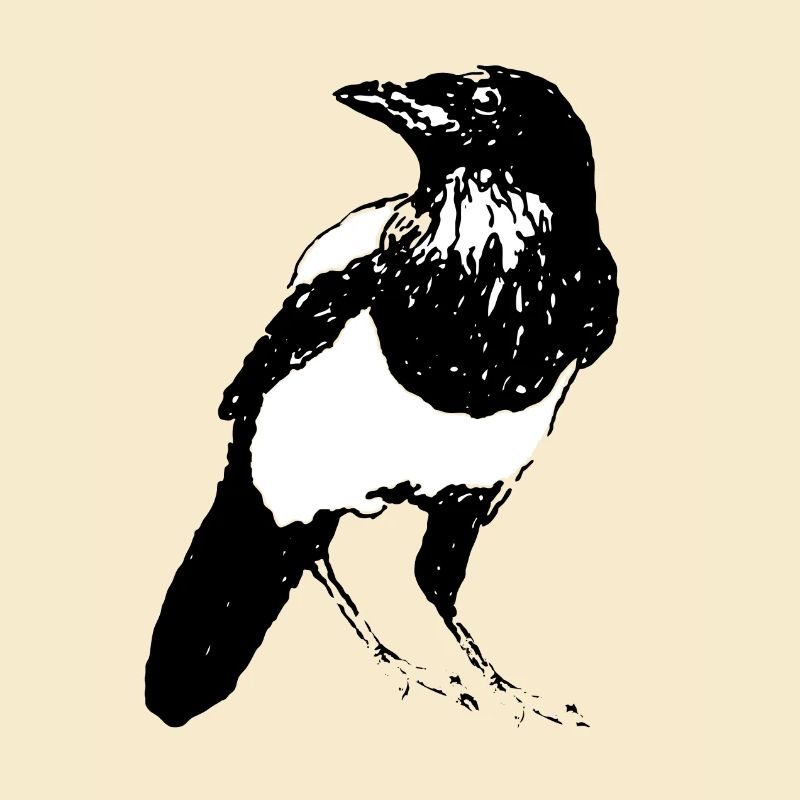 Pie Oiseau * Conception Jack Joblin