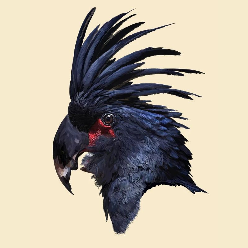 Parrot