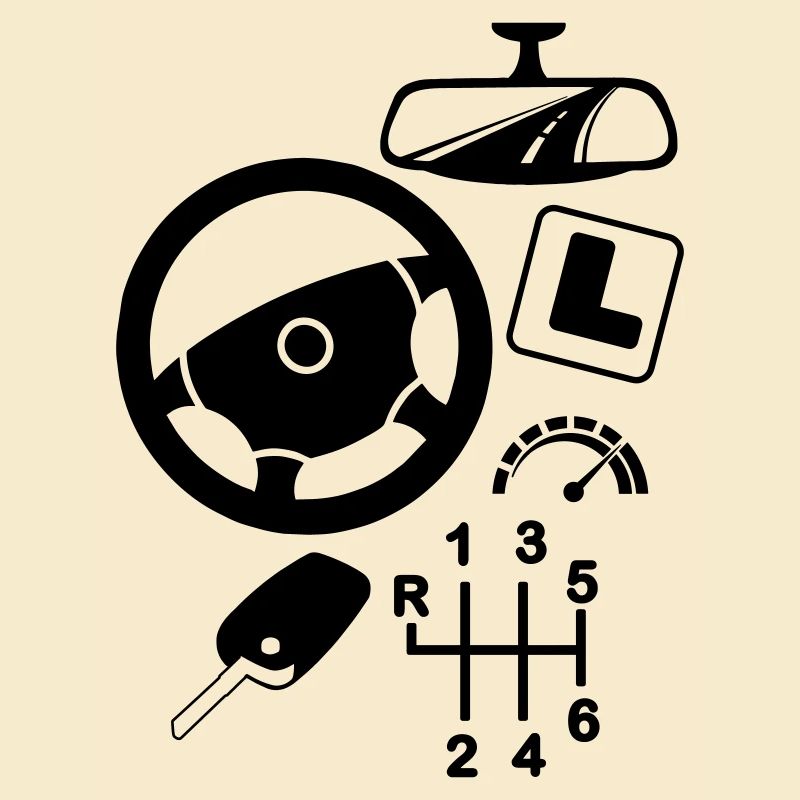 logo Car driving instructor