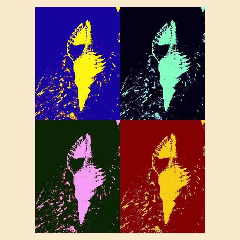 Mediterranean shellfish