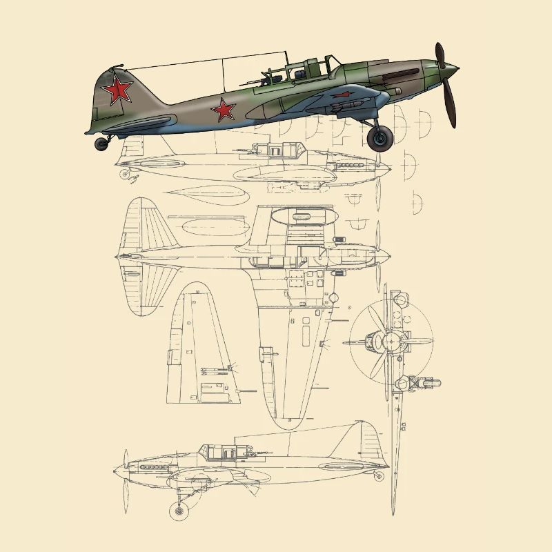 IL-2