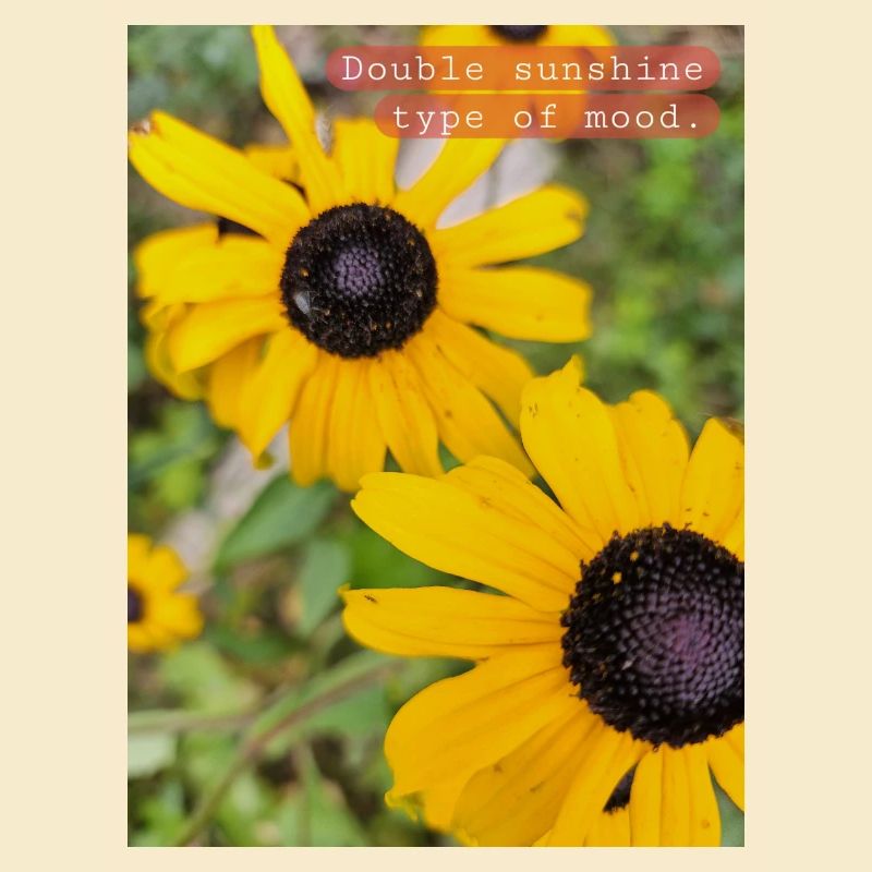 Double soleil