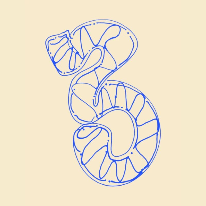 Numéro 3 préféré