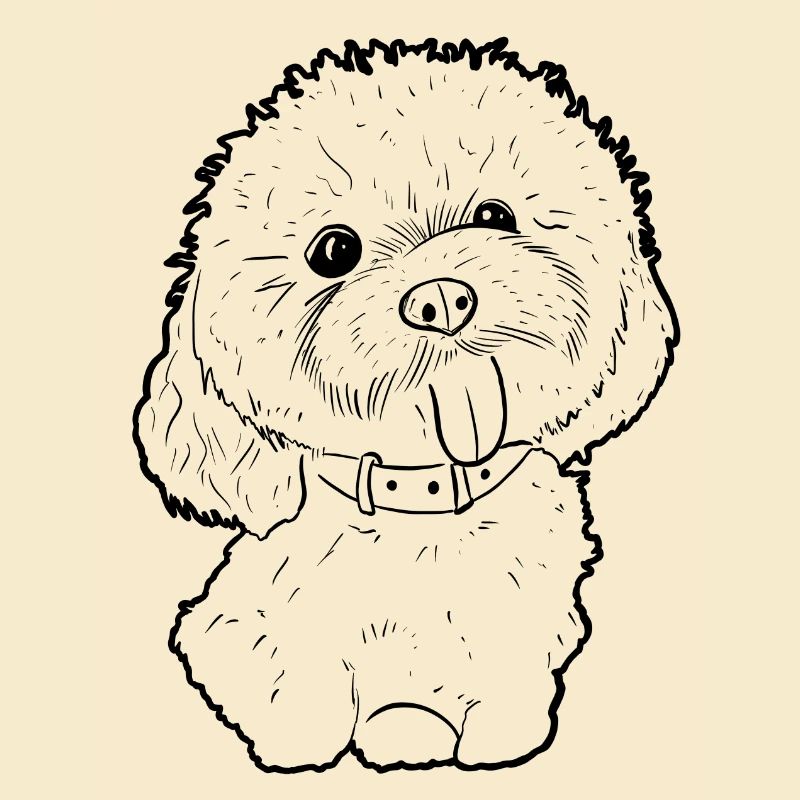Maltese
