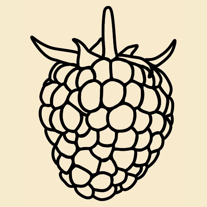 Raspberry Silhouette