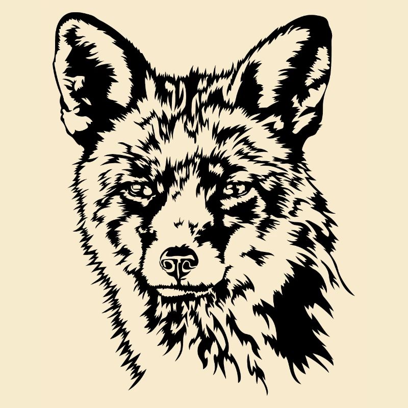 Fuchs Rotfuchs Wildtier Waldtier Wilsigns