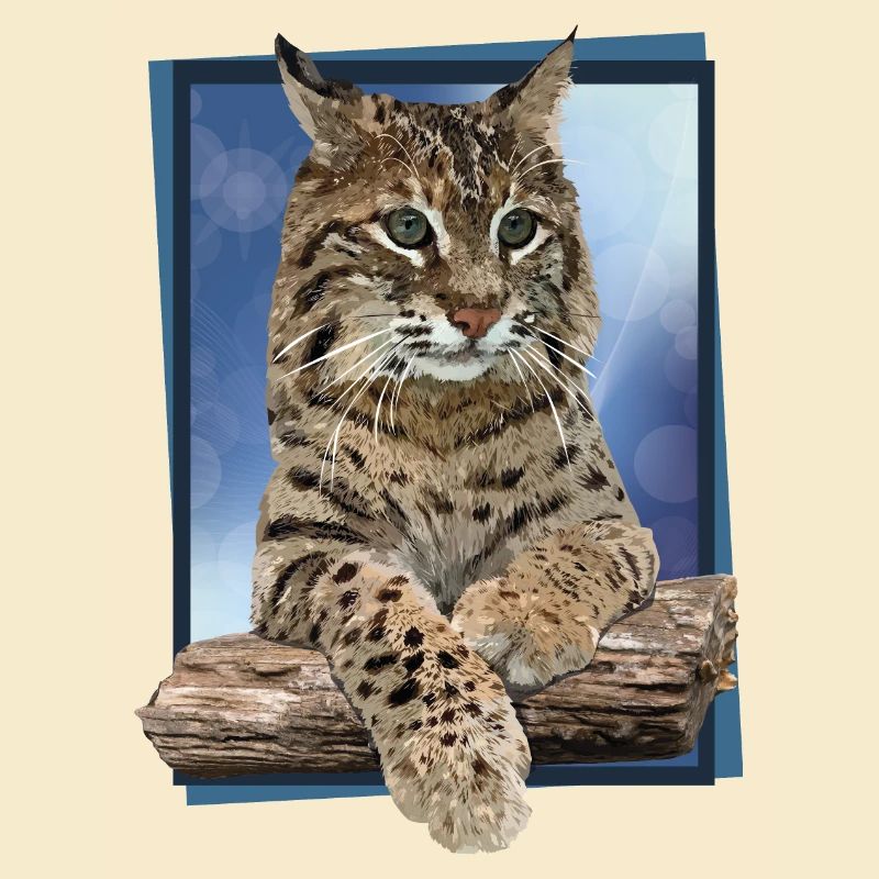 Luchs