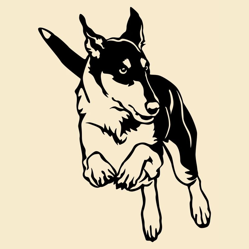 Collie