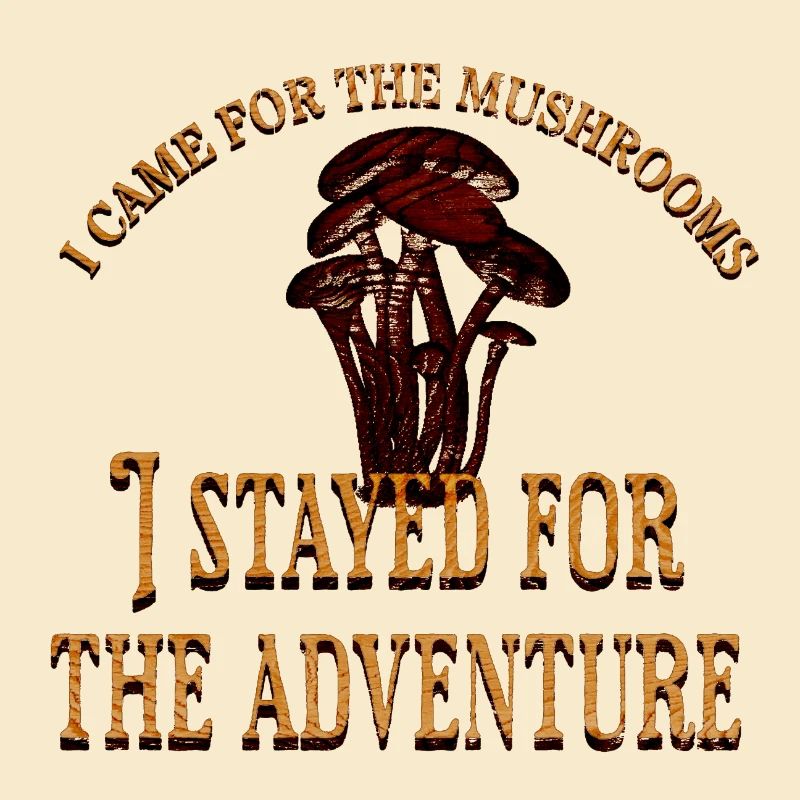 Drôle de chasse aux champignons