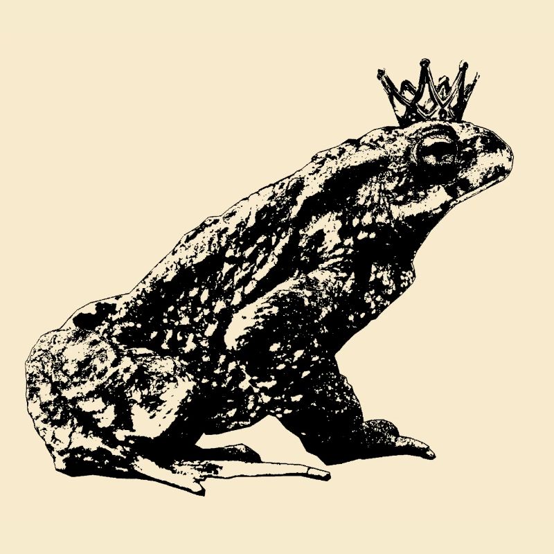 Crowned Toad