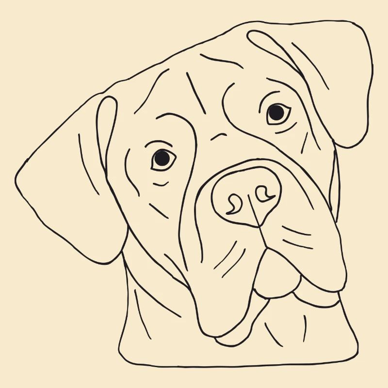 Cane Corso