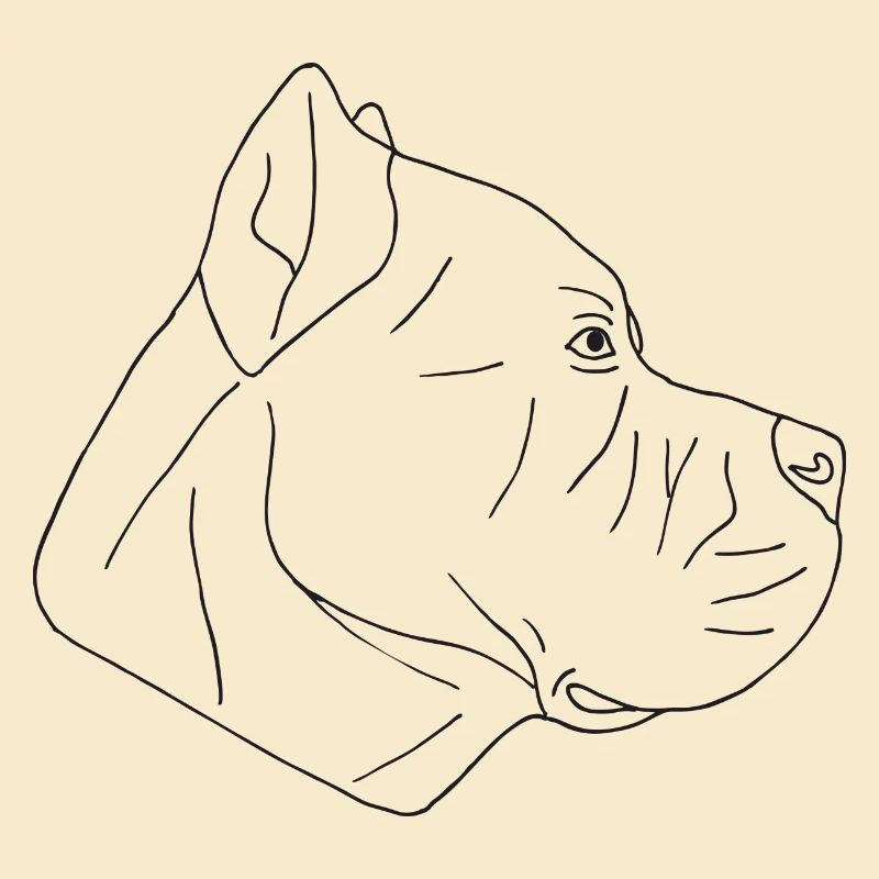 Cane Corso