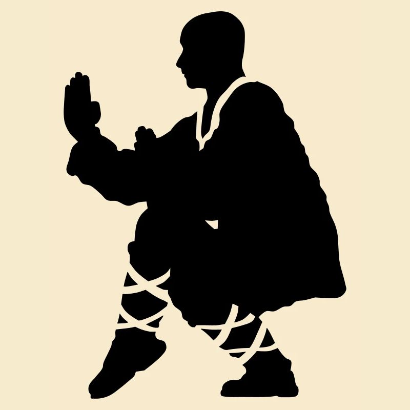 Kung fu Shaolin