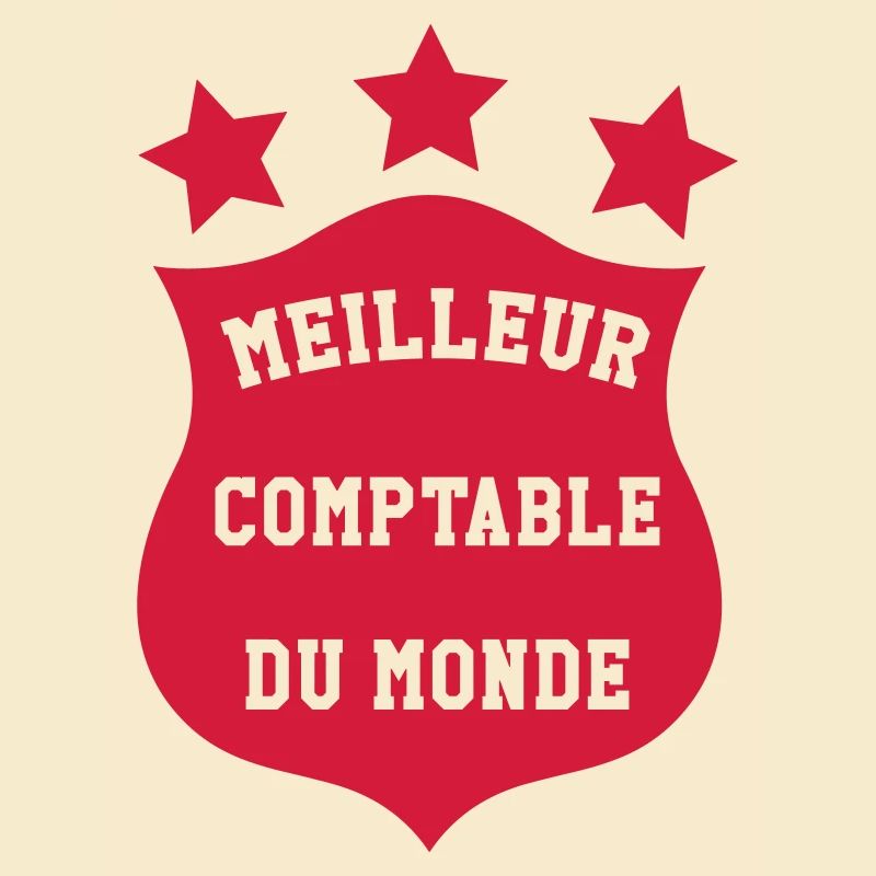 Accountant / Accounting / Comptable / Comptabilité