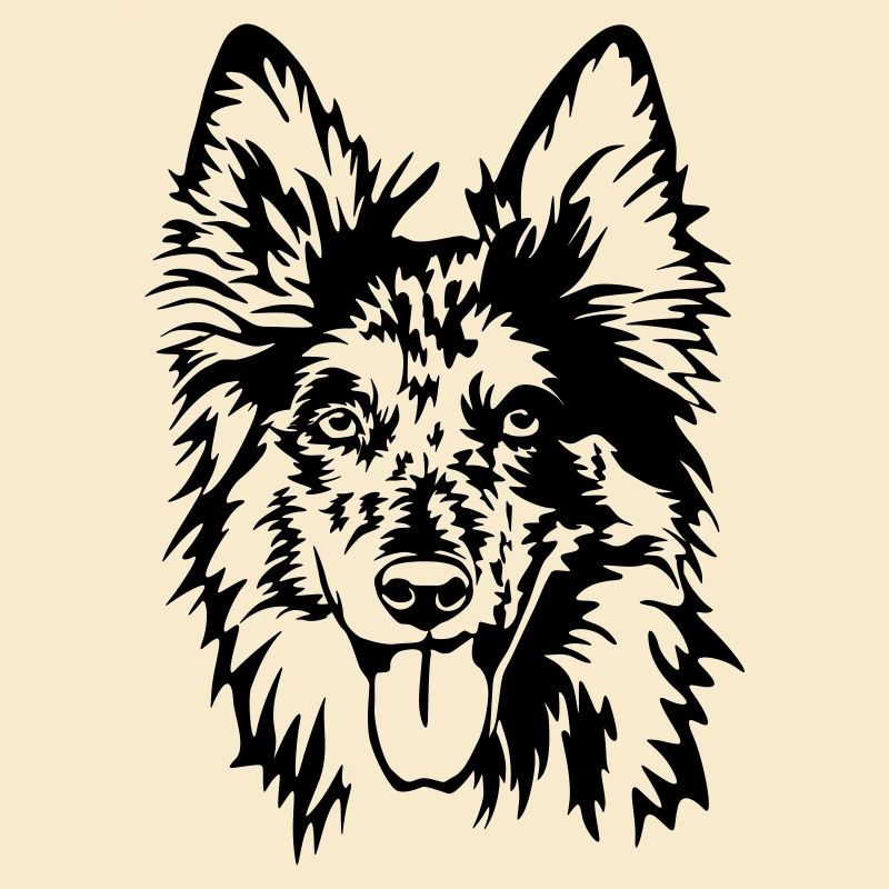 Tiger (old German herding dog) head