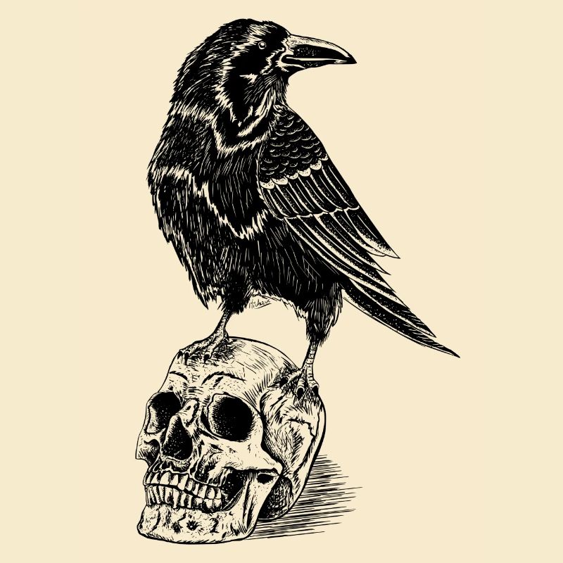 Raven and skull