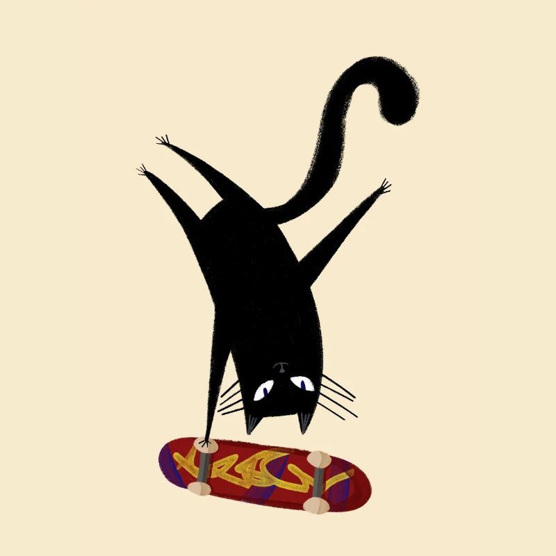 Cat Skateboard