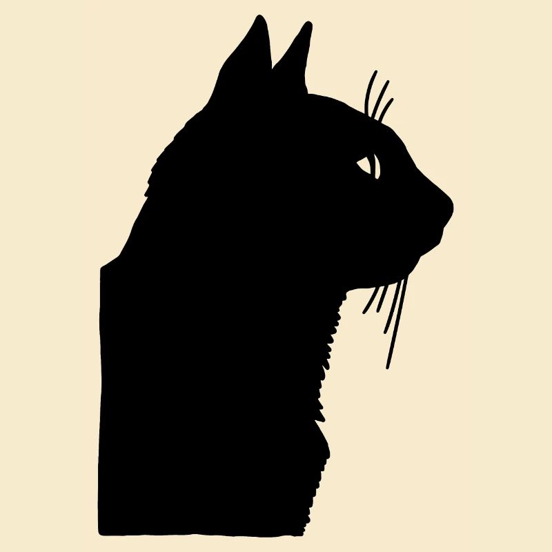 Black cat