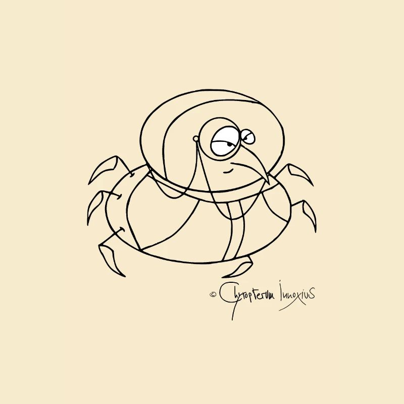Monokelkäfer - Coleopter Monoculus
