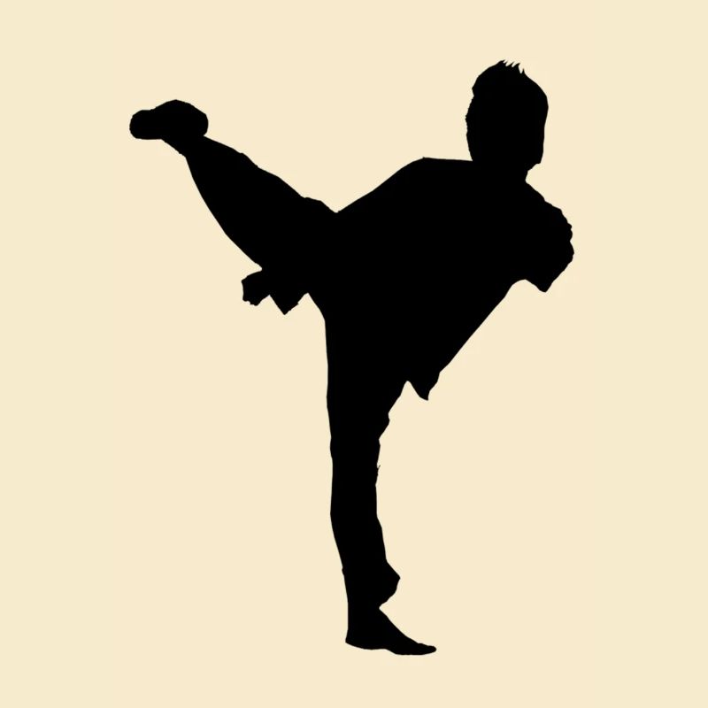 Bruce Lee Shadow Side Kick