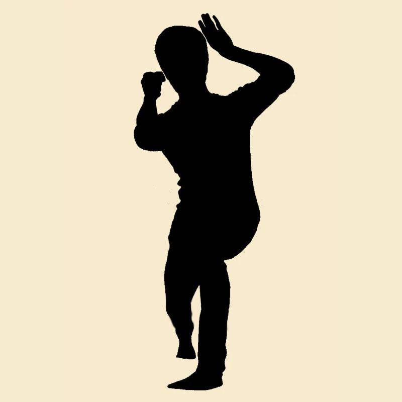 Bruce Lee Shadow Biu Da