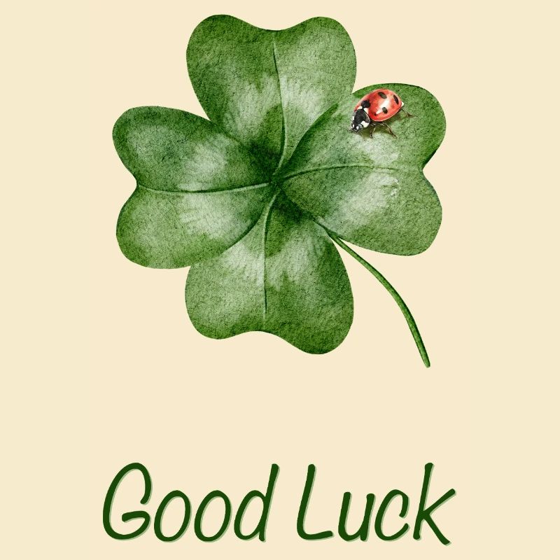 Good Luck – Kleeblatt mit Marienkäfer