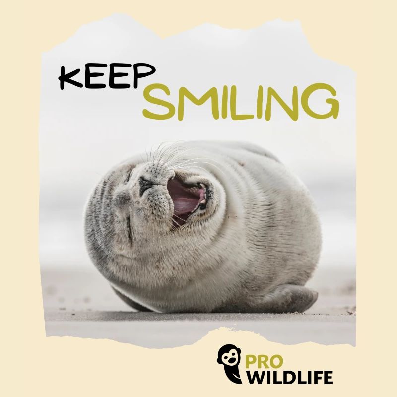 KEEP SMILING Robbe