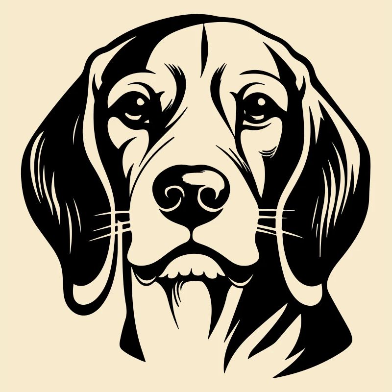 Tête de chien Beagle