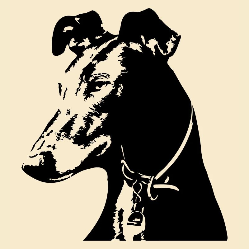 Galgo Kopf