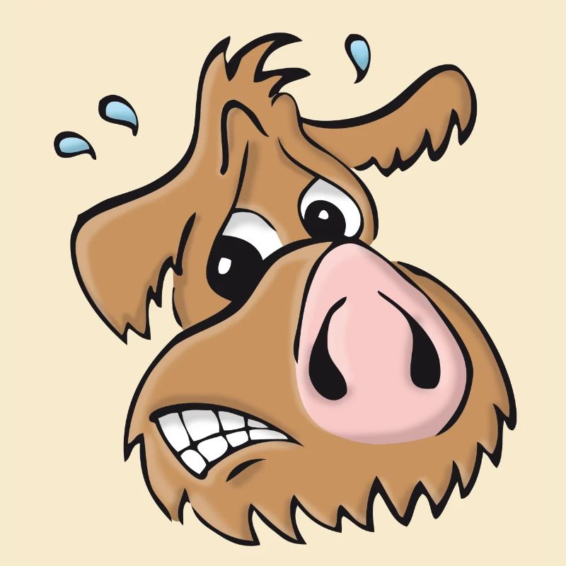 Chien cochon - oups