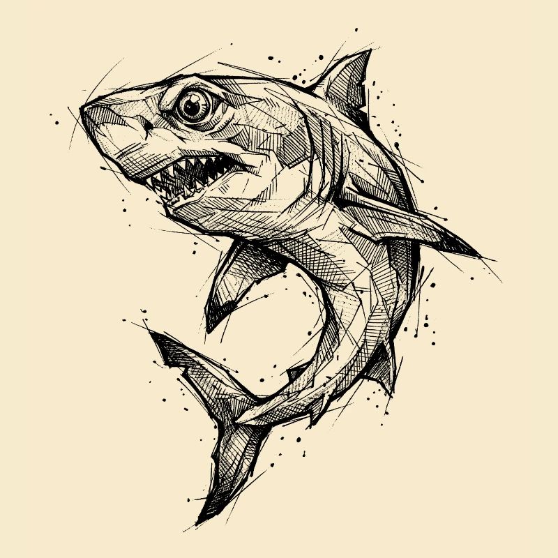 Shark Geometric - Modern Shark Sketch Design